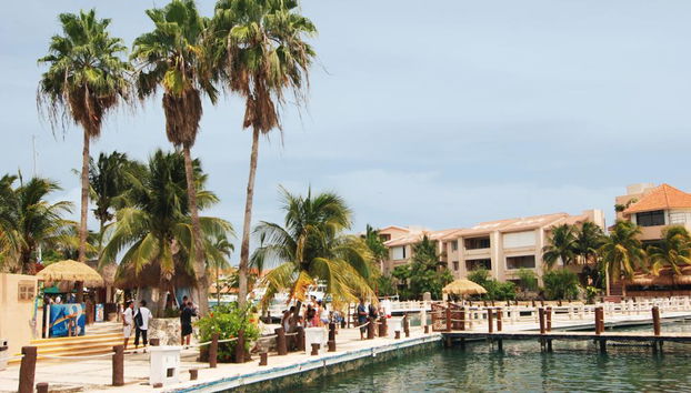 Dolphin Royal Swim in Puerto Aventuras - Photo 3